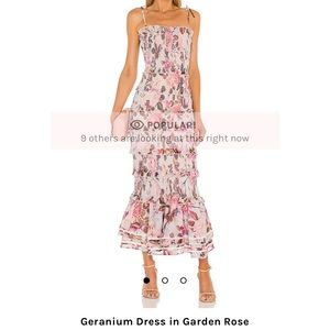 V. CHAPMAN GERANIUM DRESS SIZE 4 - sold out online!